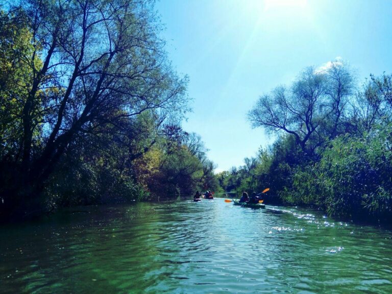 Каяки на спокойной воде среди деревьев и камышей на Турунчуке
